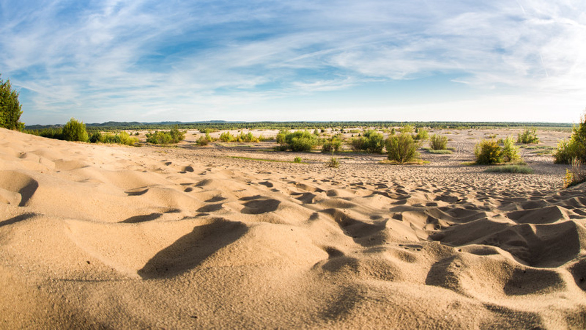 Na Dworosku - Zdjęcie 1